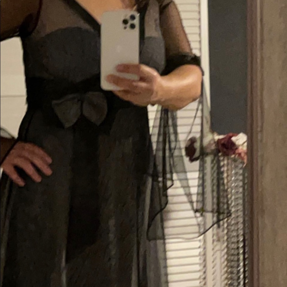 Fancy dress - Picture 4 of 10